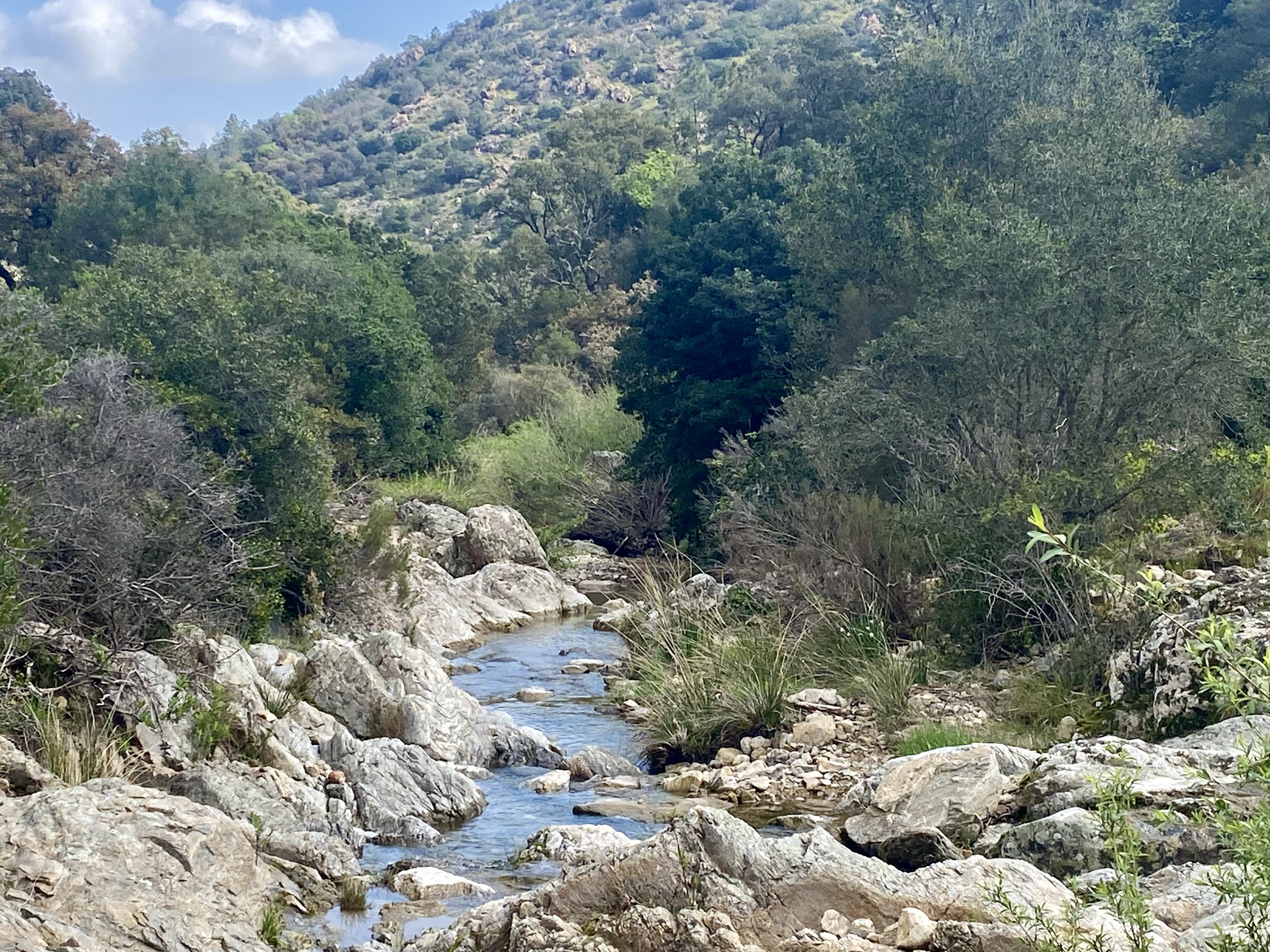 Roquebrune S/Argens