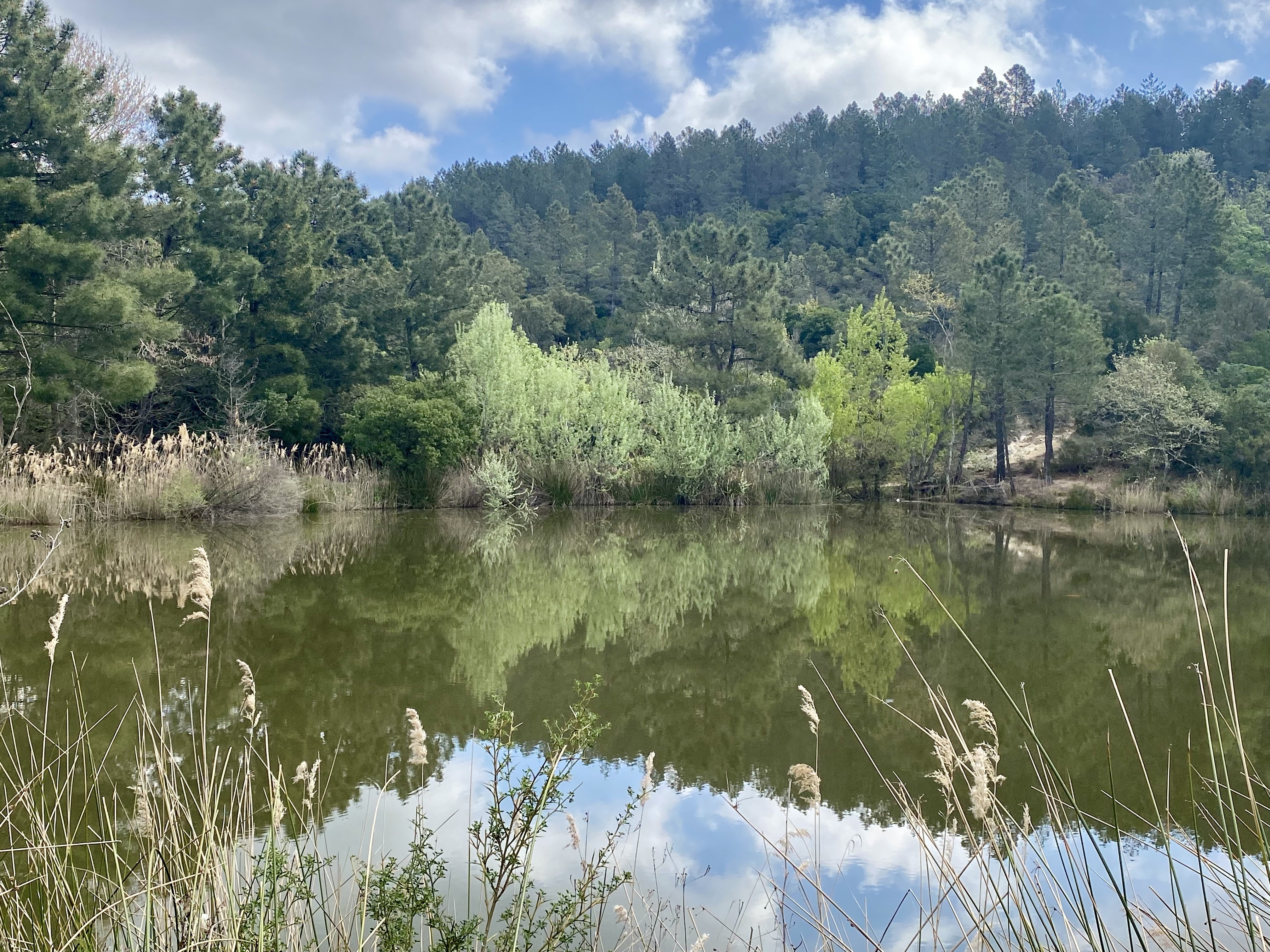 Roquebrune S/Argens