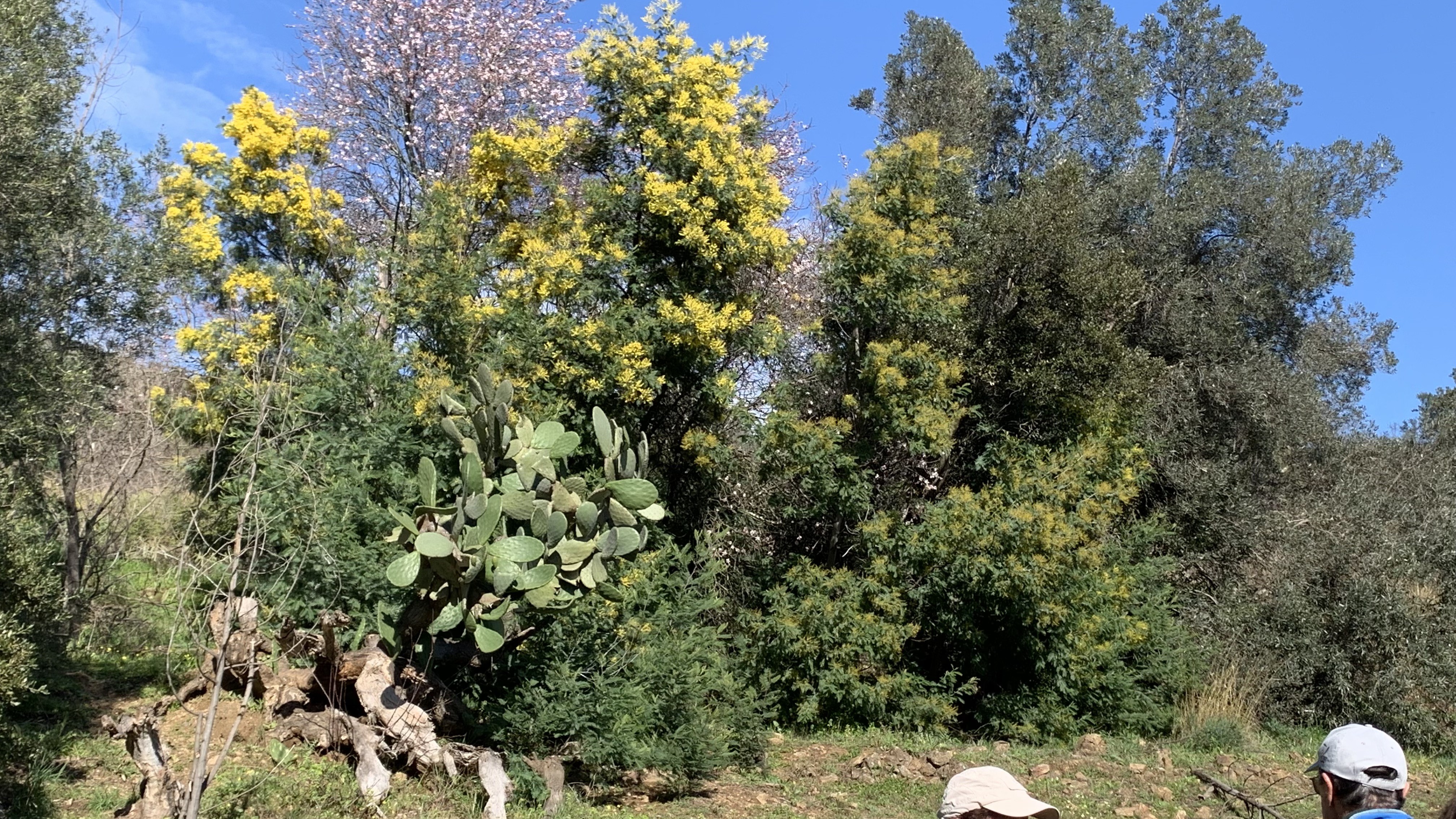 La Flûte