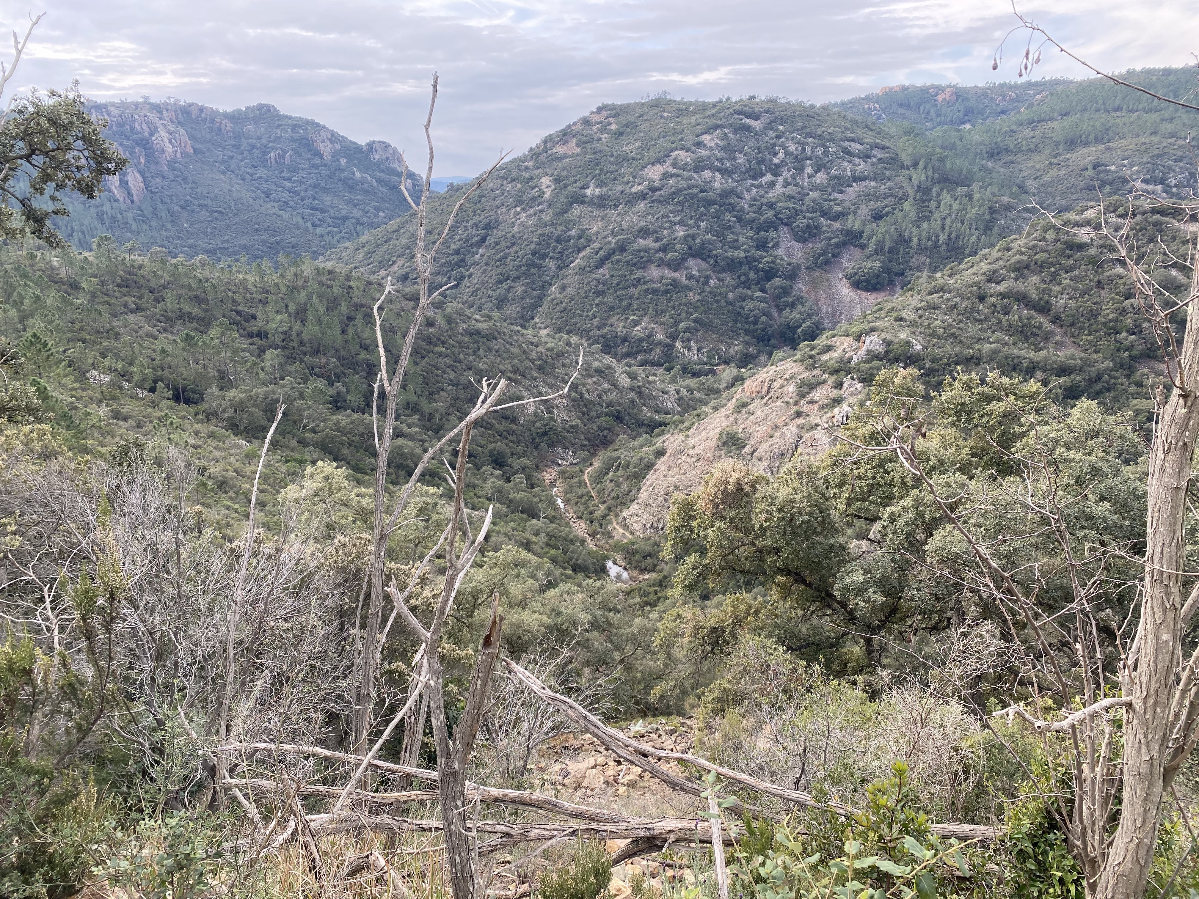 Beau paysage